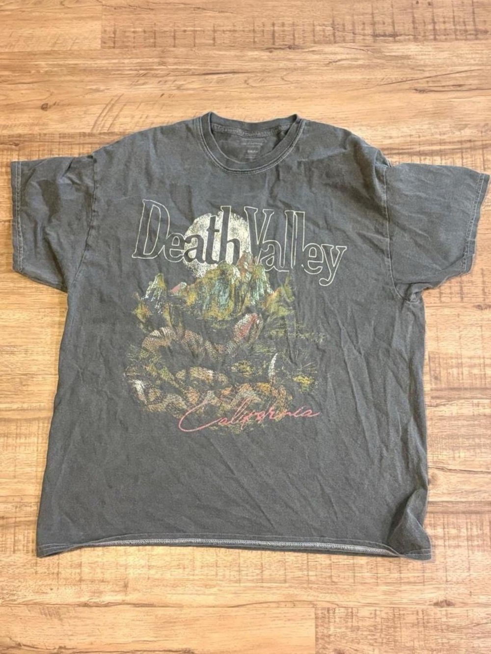 Urban Outfitters Charcoal Death Valley Graphic Tee
